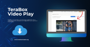 TeraBox Video Play