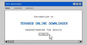 Terabox Online Downloader